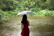 《落花雨》-泪如雨落才知过往剪不断！（盈盈）