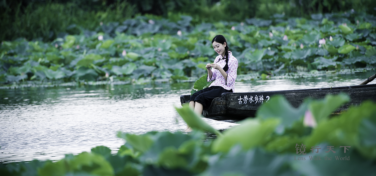 荷花湖上的村姑