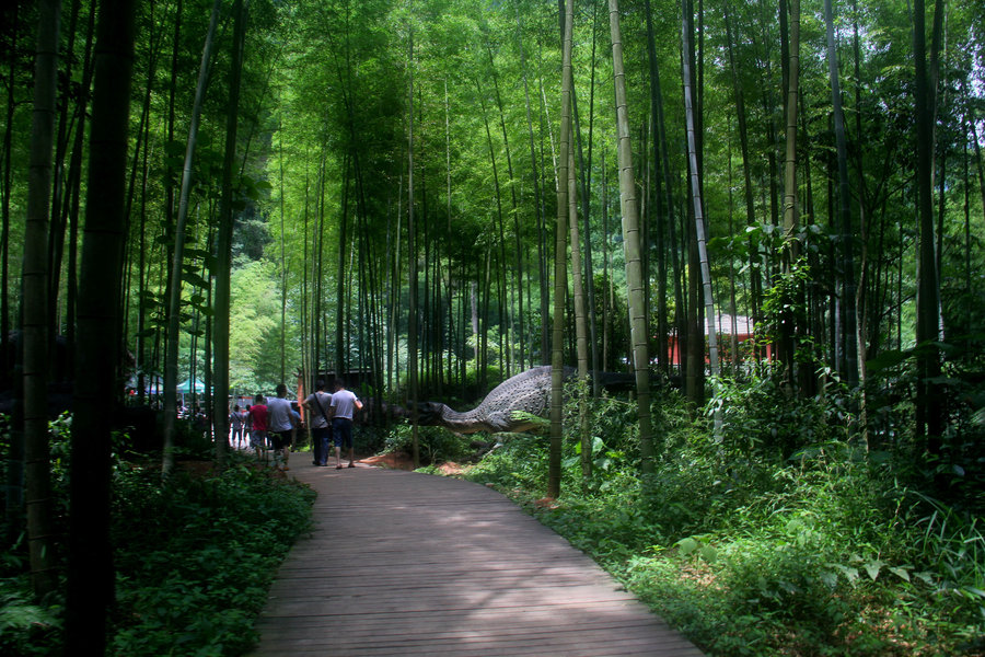 【蜀南竹海摄影图片】风光旅游摄影