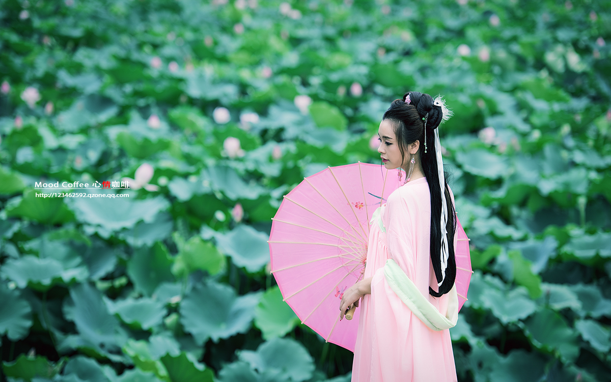 荷花仙子