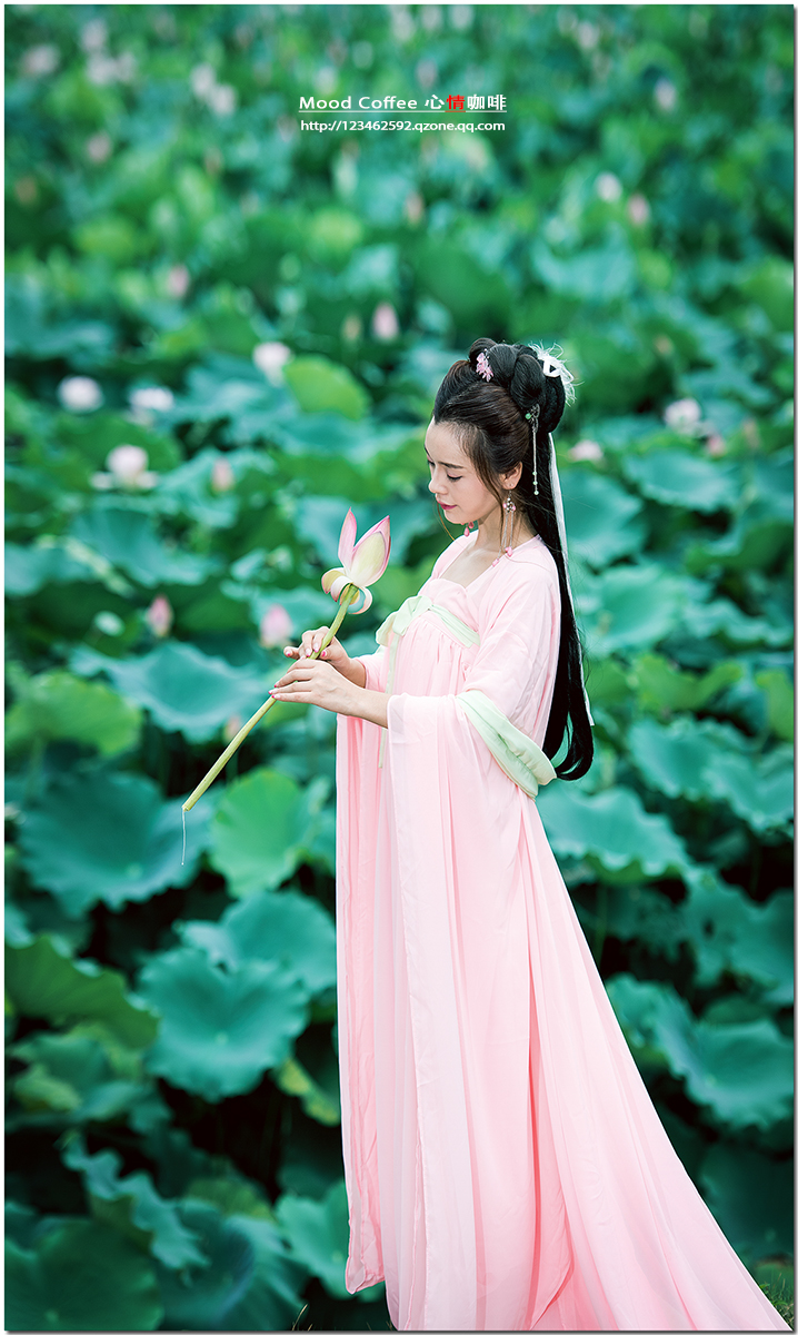 荷花仙子