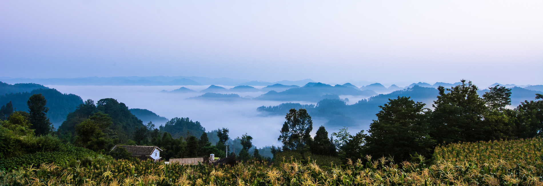 贵州凤冈美景