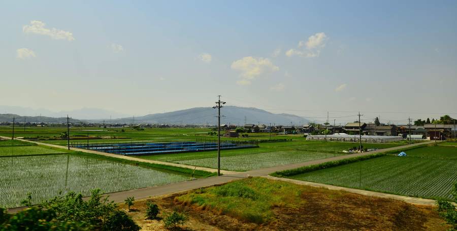 日本的田野