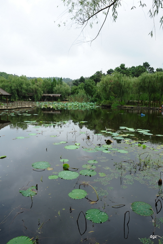【南山。江宁一日游摄影图片】风光旅游摄影_