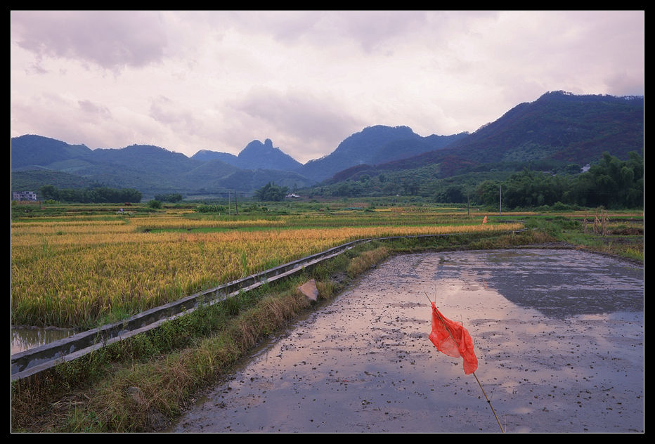 黄昏风雨田园路