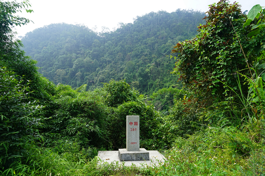 寻访当年血战地 八里河东山