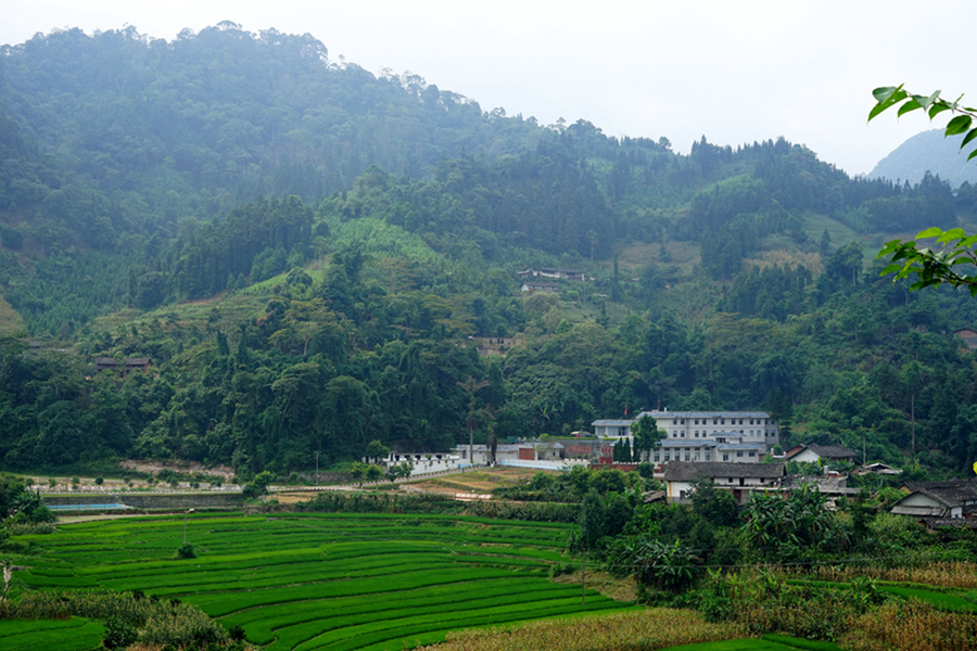 寻访当年血战地 八里河东山