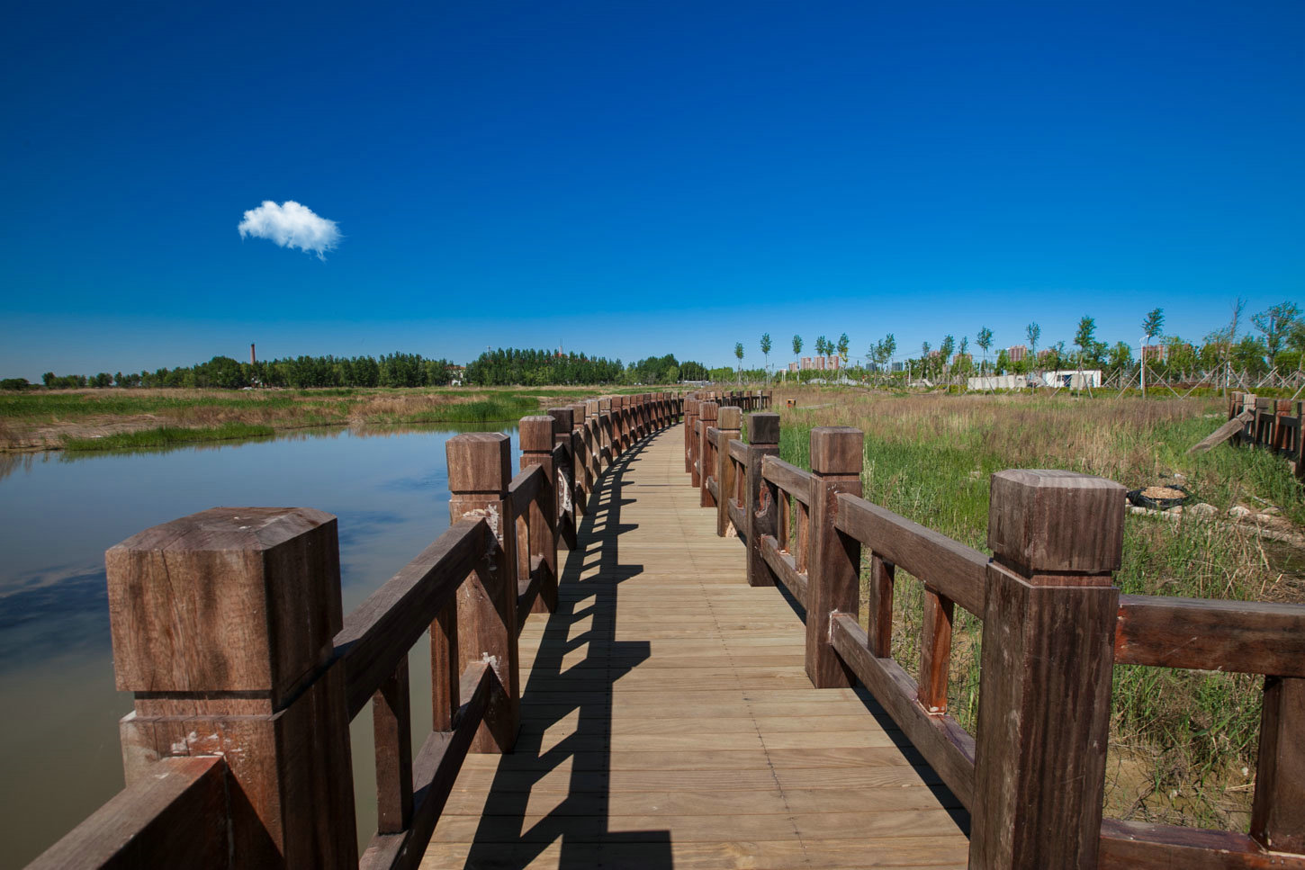 2020沙河湿地公园-旅游攻略-门票-地址-问答-游记点评，周至旅游旅游景点推荐-去哪儿攻略