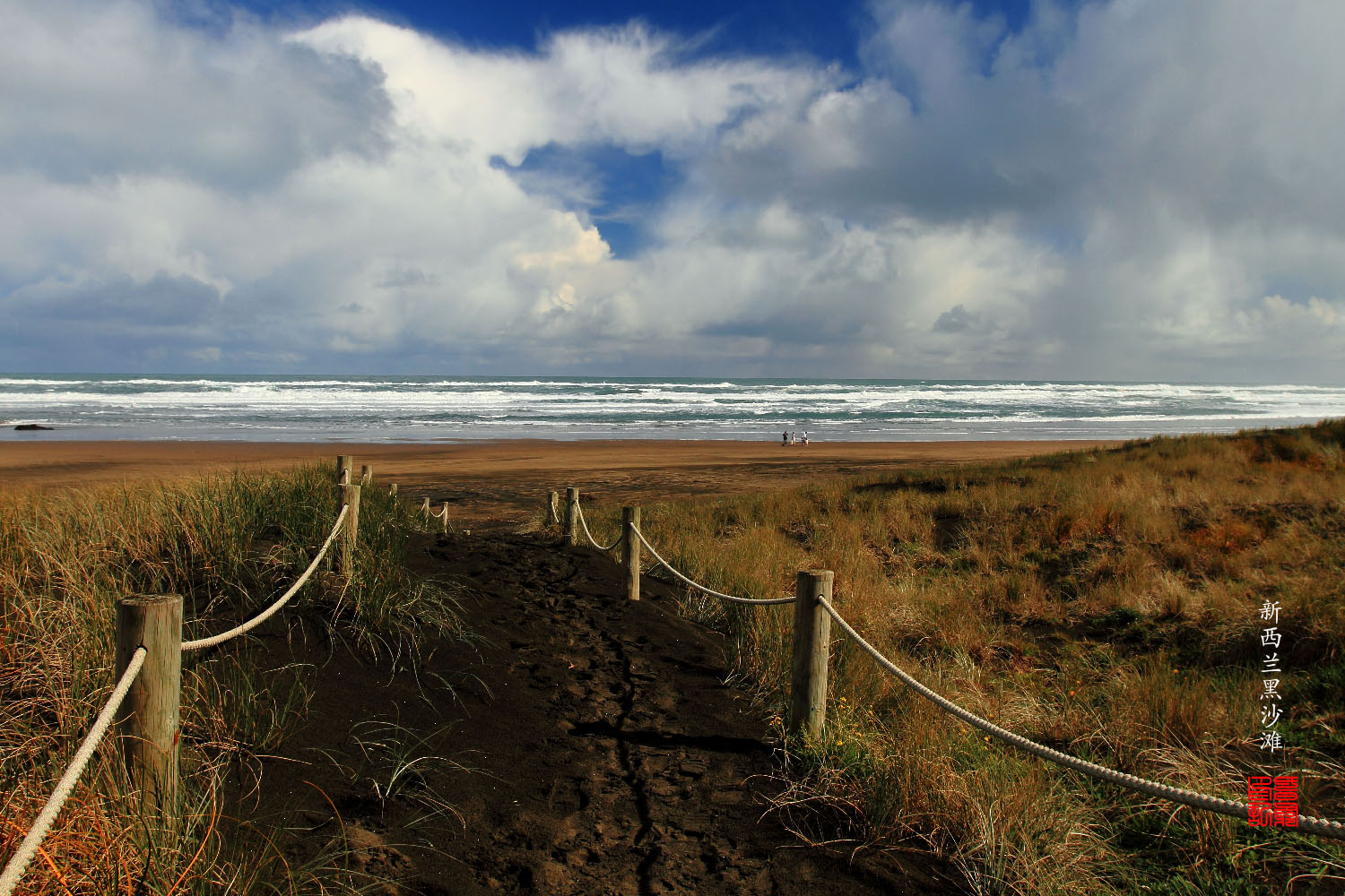 新西兰皮哈海滩自然风光图片素材-编号33514435-图行天下