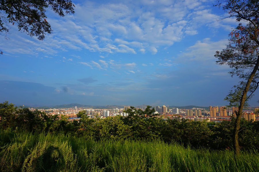 今日旁晚登山随拍山东海阳