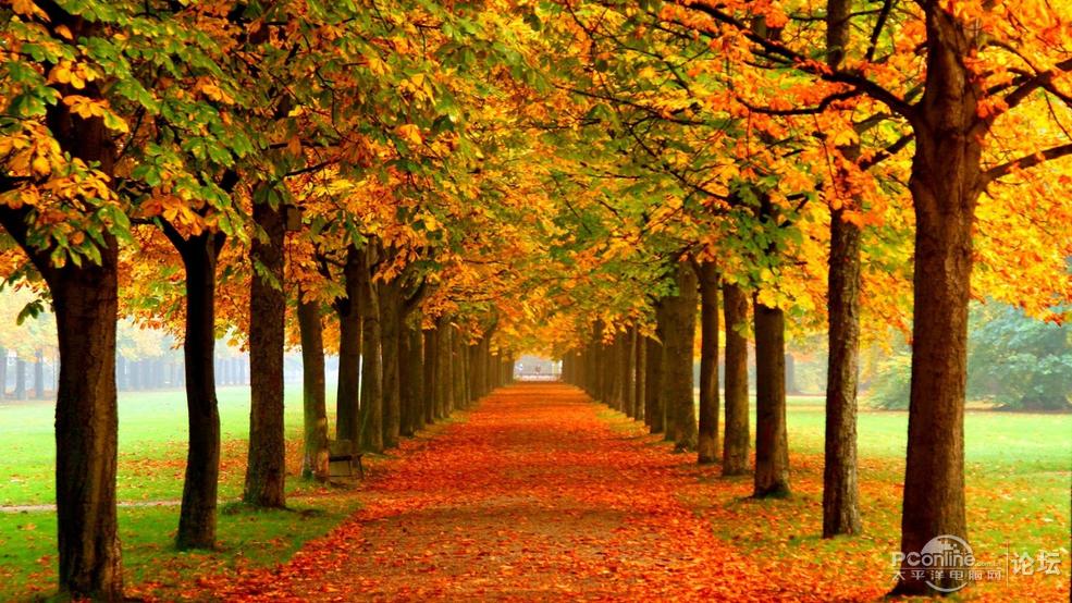 秋天的风景画高清壁纸