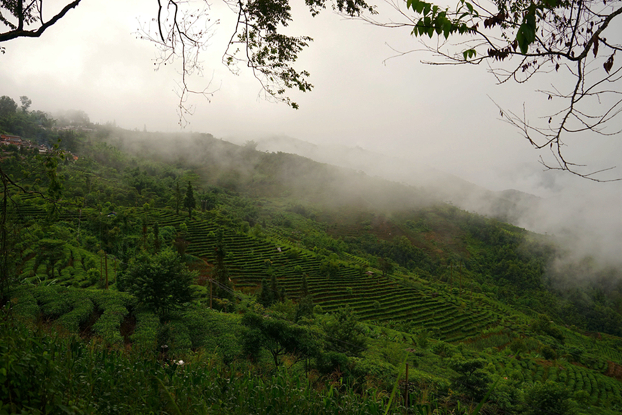 【雨后拍摄中国老挝边境的云雾摄影图片】风光