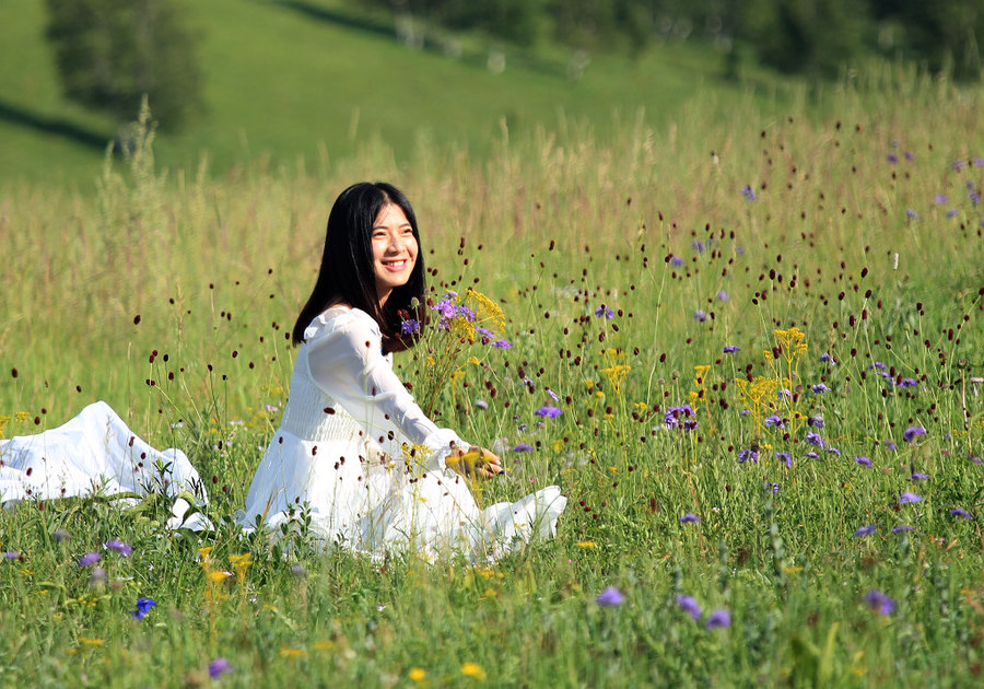 草原野花中的白裙女孩