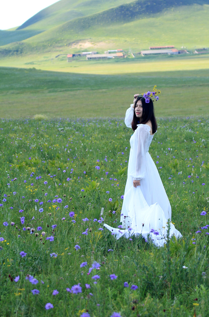 草原野花中的白裙女孩