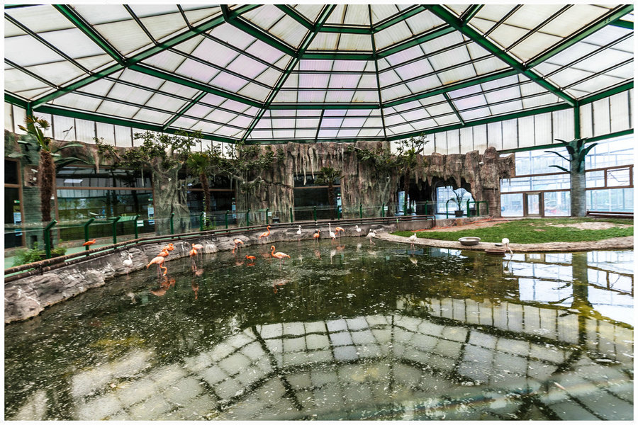 【齐齐哈尔龙沙动植物园 4摄影图片】风光旅游