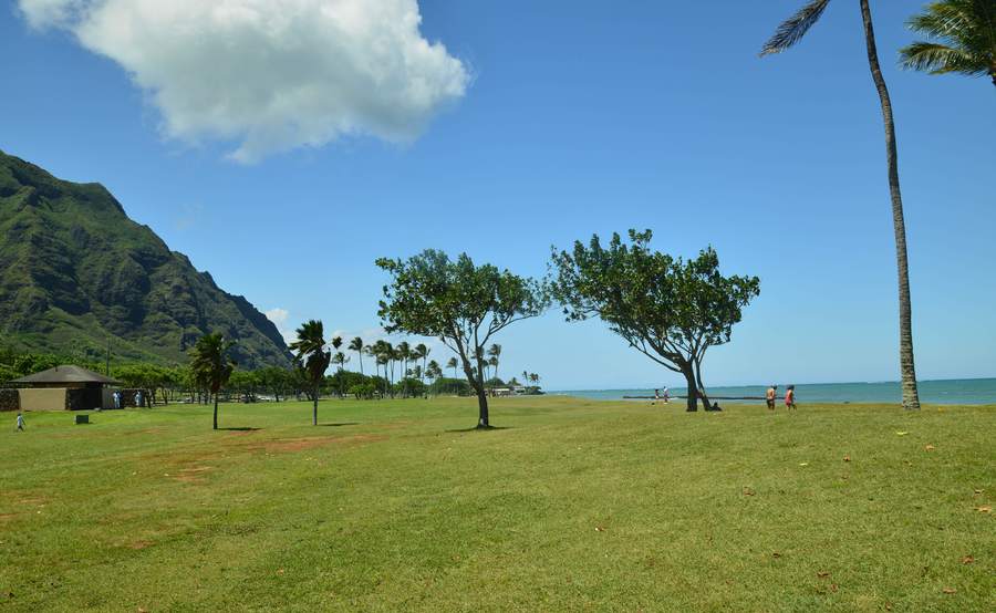 【夏威夷印象--美丽的白沙滩(2)摄影图片】风光