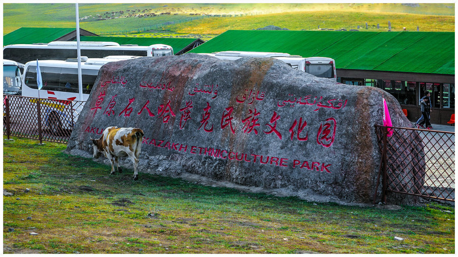 新疆布尔津县哈萨克民族文化园 (共p)