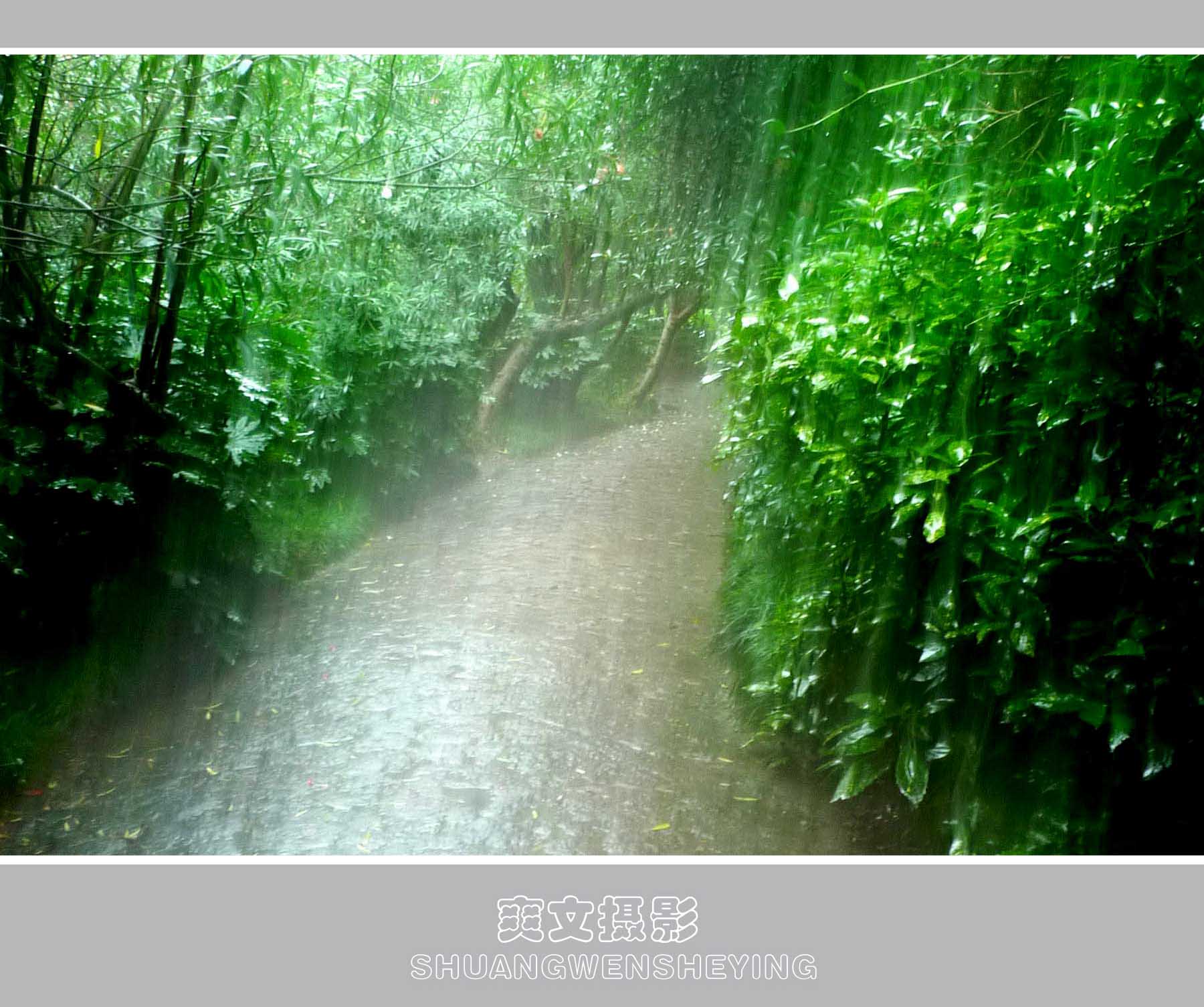 【雨摄影图片】生活摄影_青山翠竹_太平洋电脑网摄影