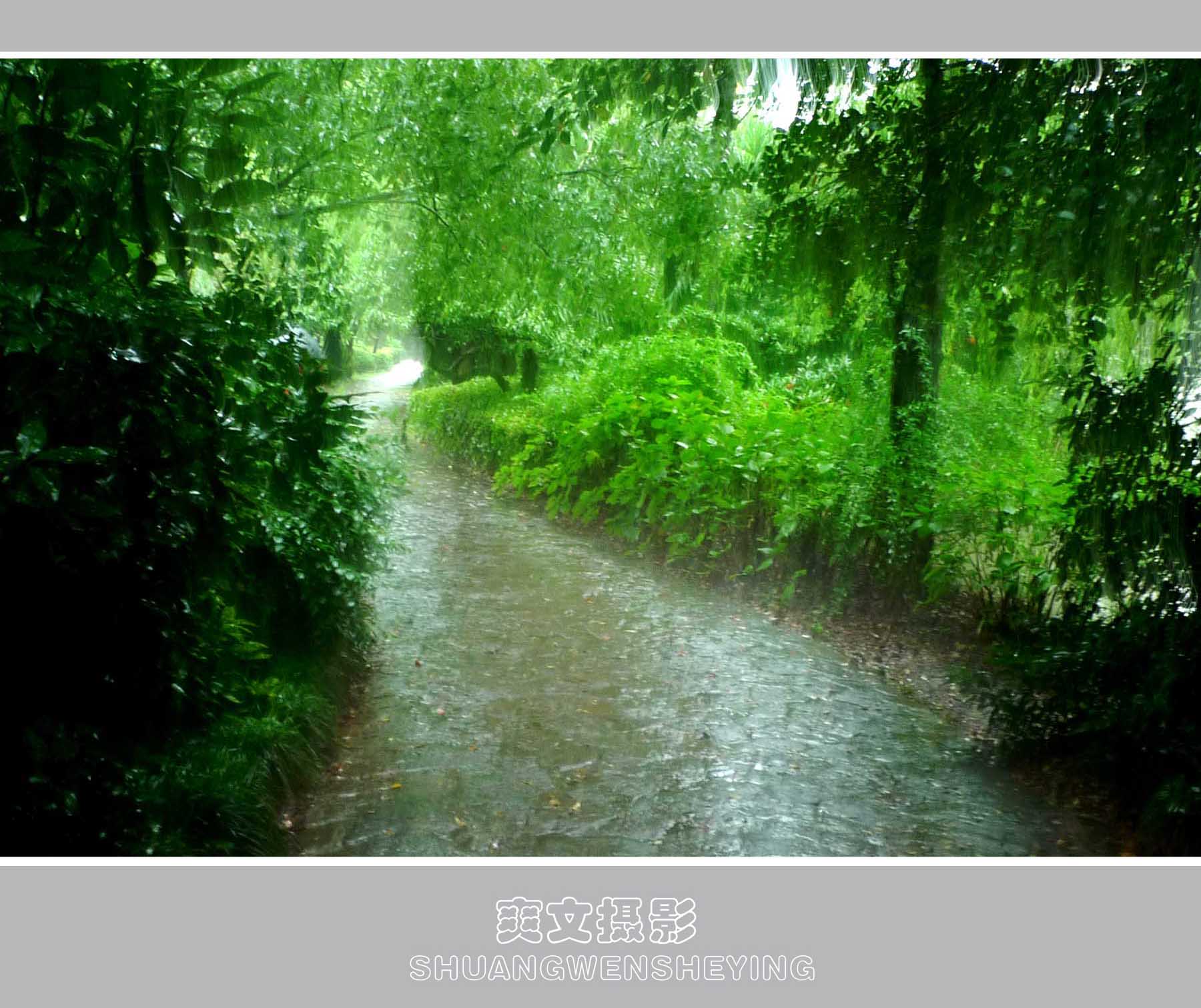 【雨摄影图片】生活摄影_青山翠竹_太平洋电脑网摄影