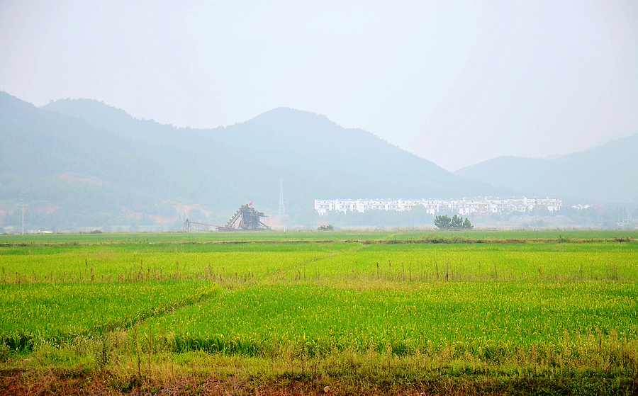 江南田园风光 (共p)