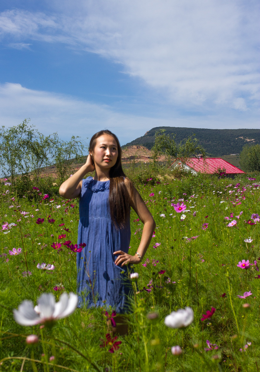 美女 格桑花