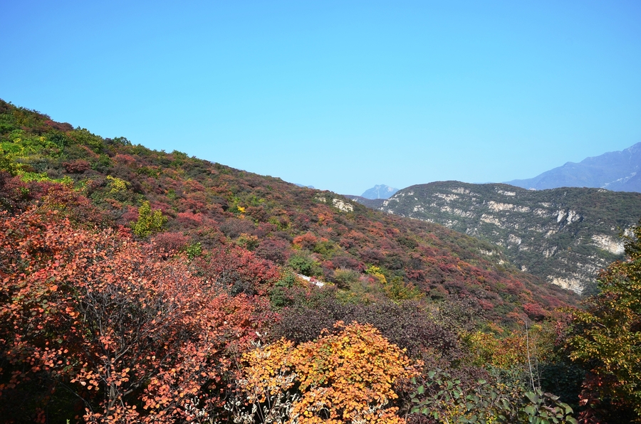 坡峰岭