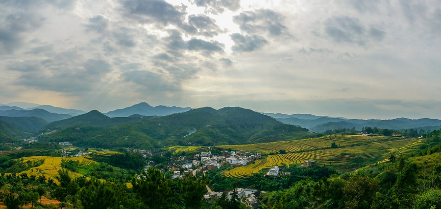 梅州大埔坪山梯田