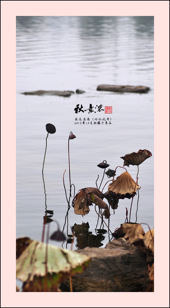 ====秋意浓====