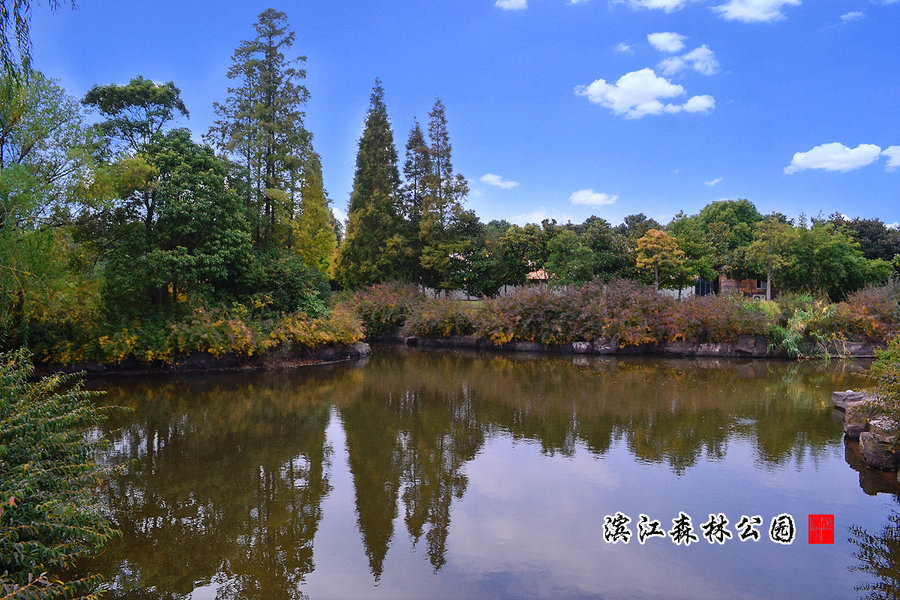 上海滨江森林公园