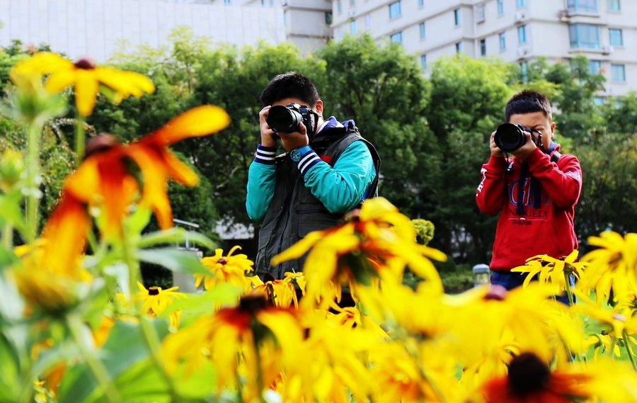 【周末双胞胎小摄影师在上海南园拍了几个小朋