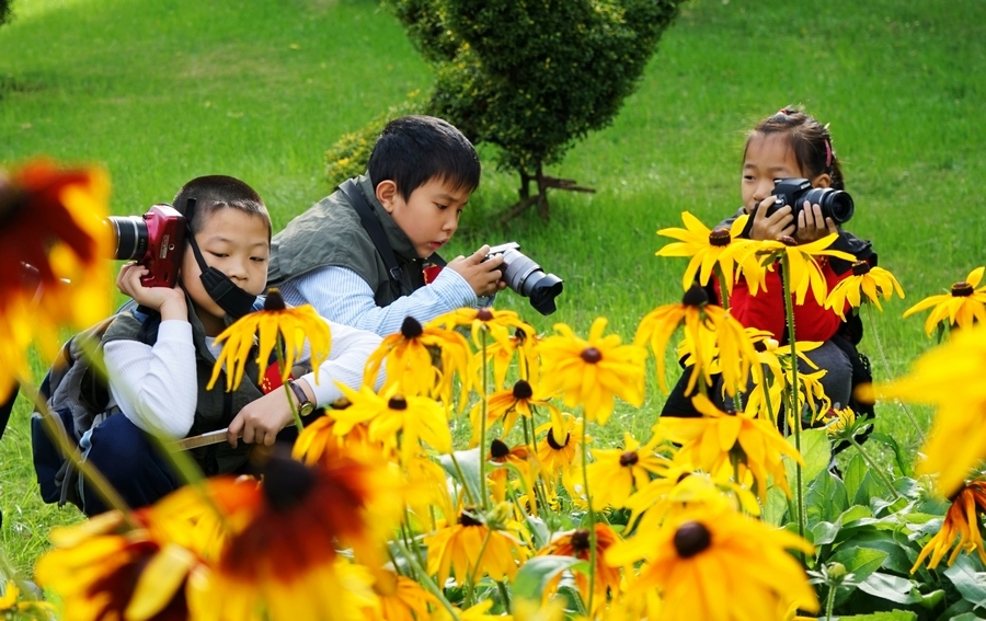 【周末双胞胎小摄影师在上海南园拍了几个小朋