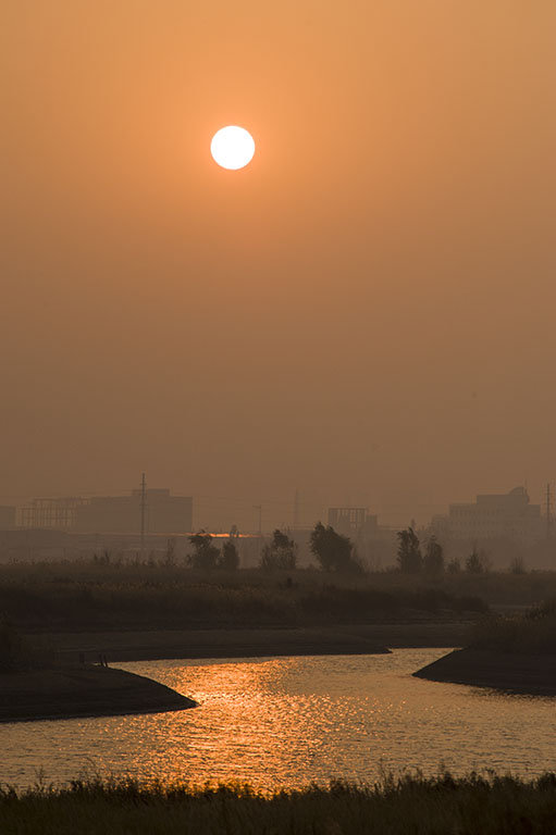 湿地晨曦