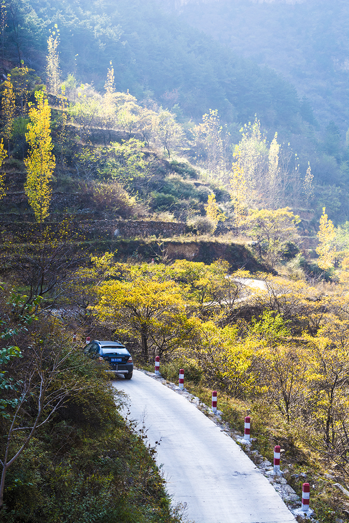 林滤山侧影—山路弯弯