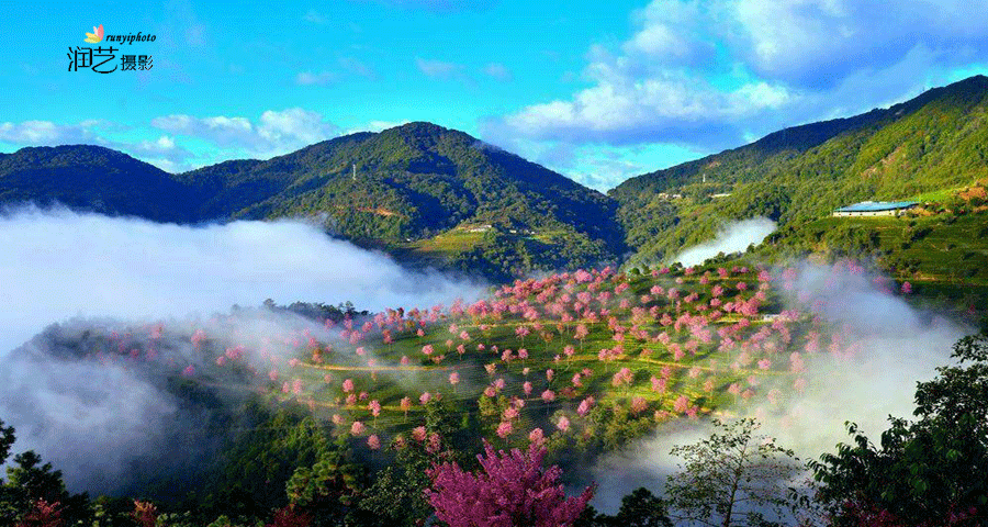 金秋怒江大峡谷,独龙江,丙中洛,双廊,大理无量山樱花摄影团