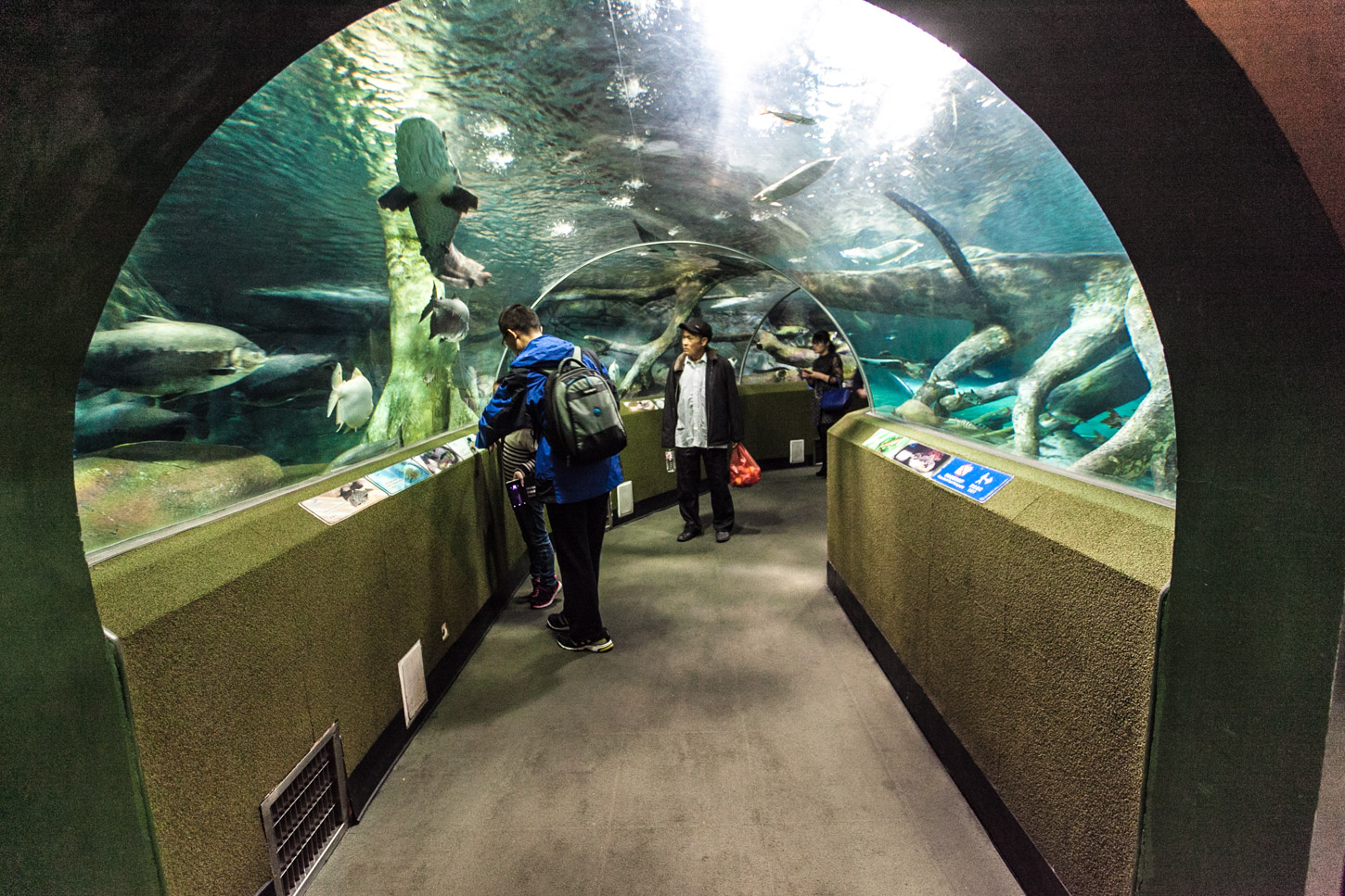 上海海洋水族馆3