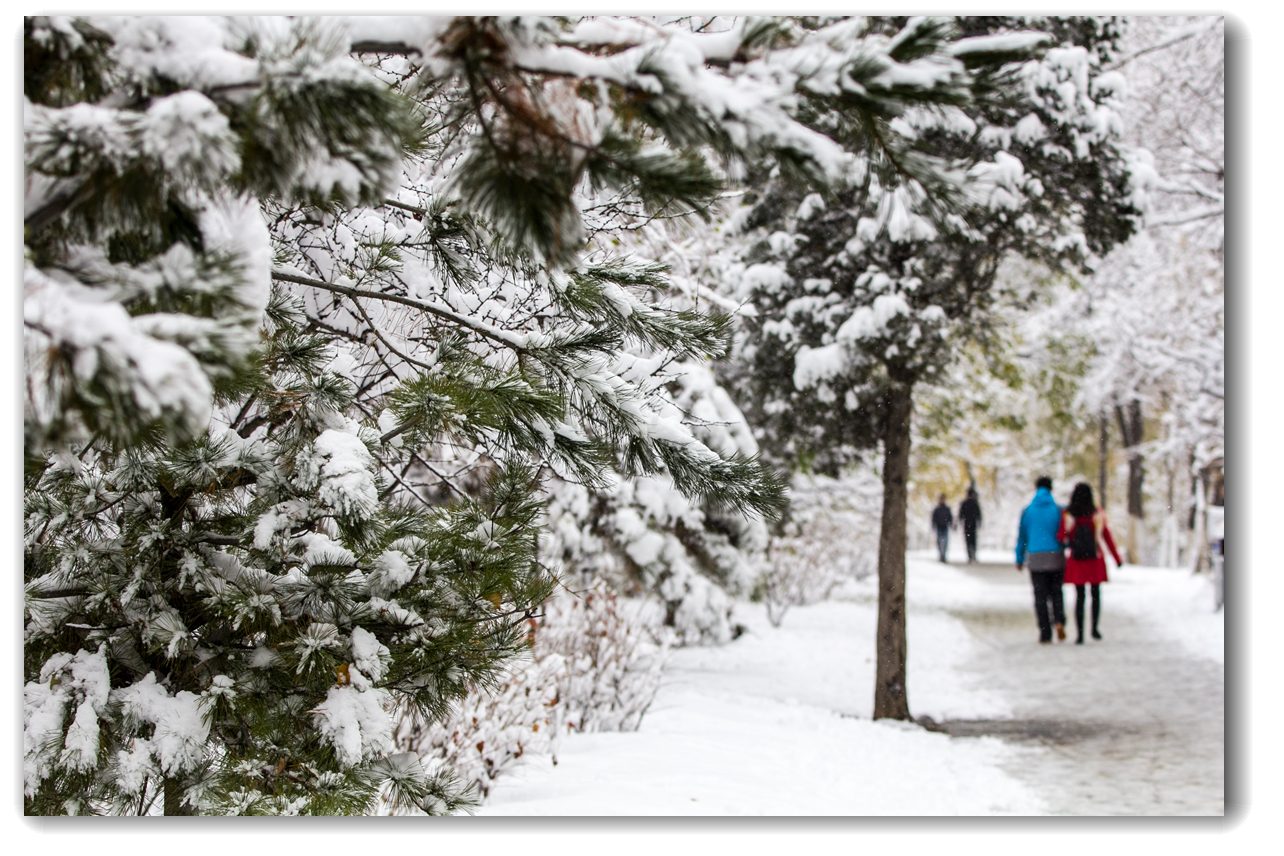 小雪时节赏大雪