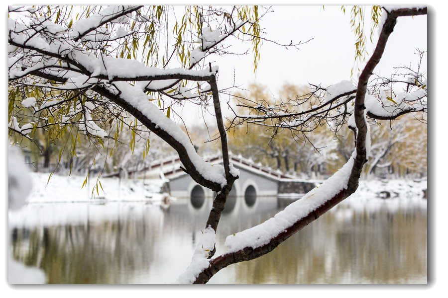 小雪时节赏大雪