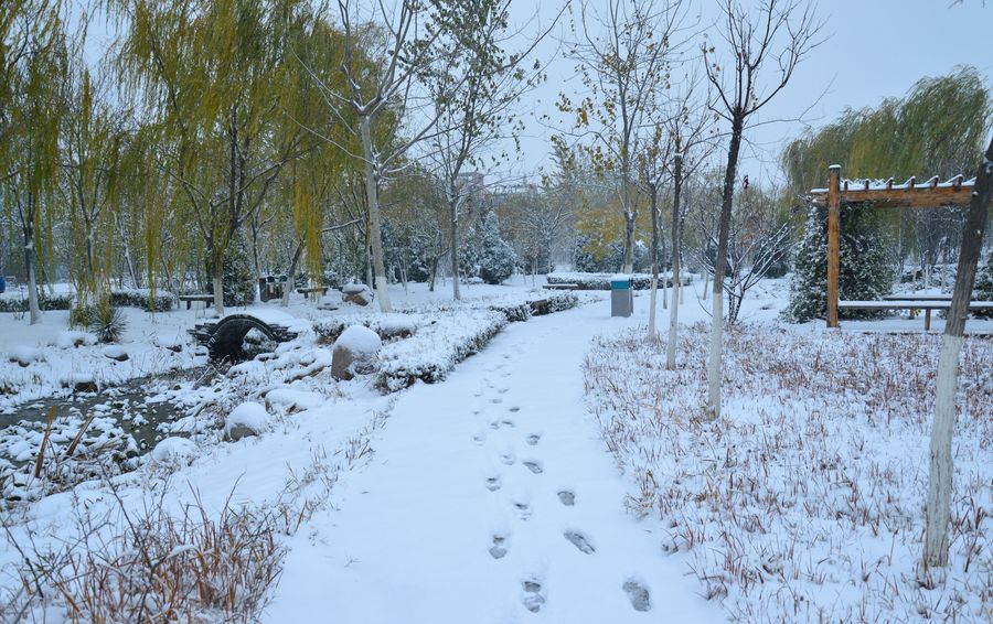 今冬第一场雪