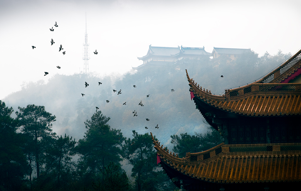 《深山藏古寺 晨钟惊飞鸟》