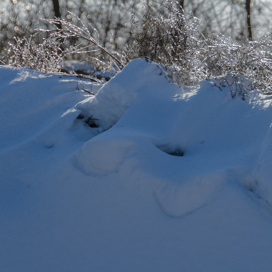 雪景与树挂