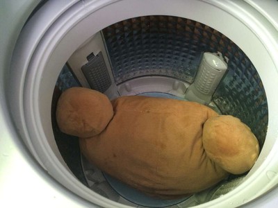 大毛娃娃怎么洗--由三星揉揉净洗衣机提供