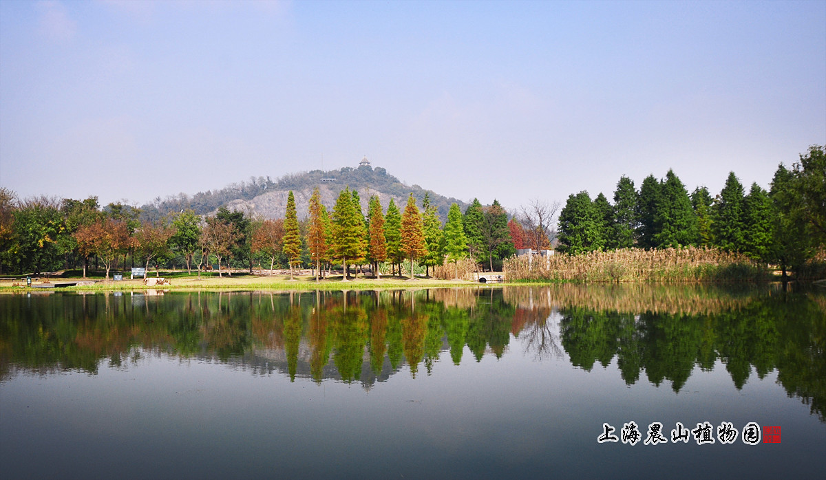 上海晨山植物园(秋景)