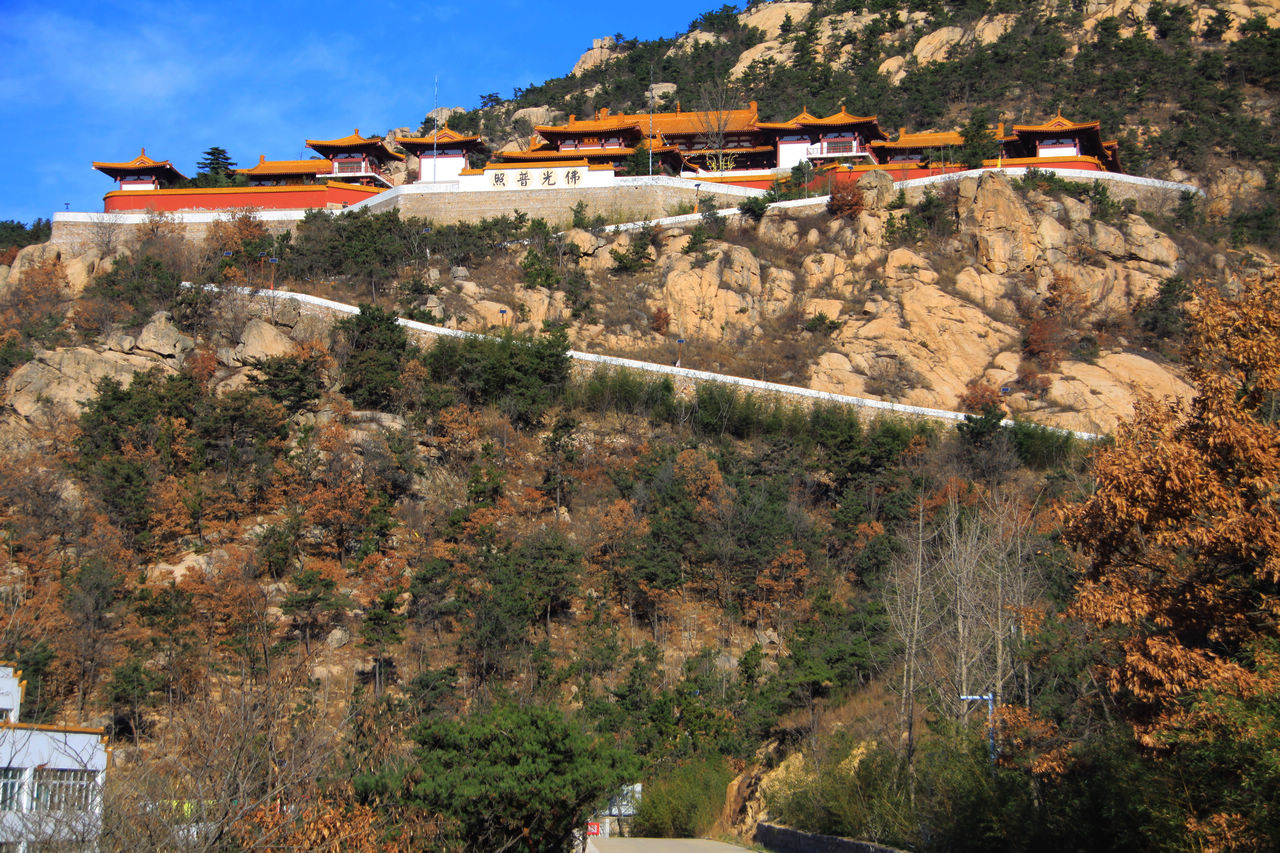 山东半岛最大的佛教禅寺--成道禅寺