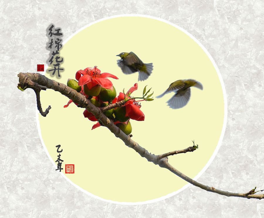 木棉花