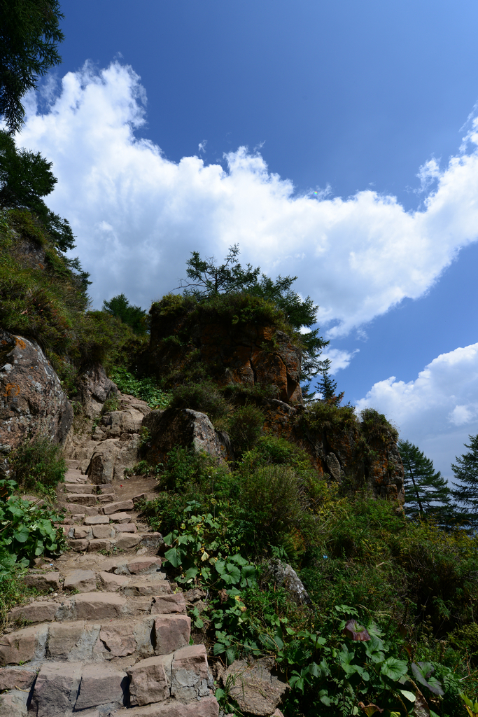 山西芦芽山