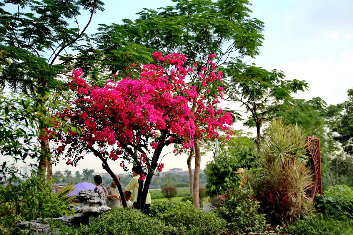 悠悠闲闲过日子看点花花草草树树养养眼