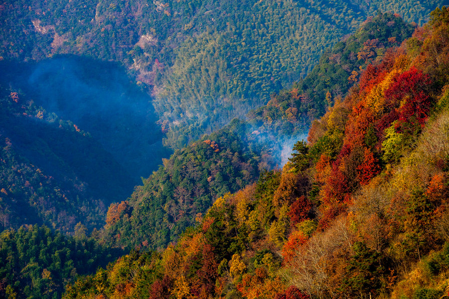 浙江临安指南山秋色