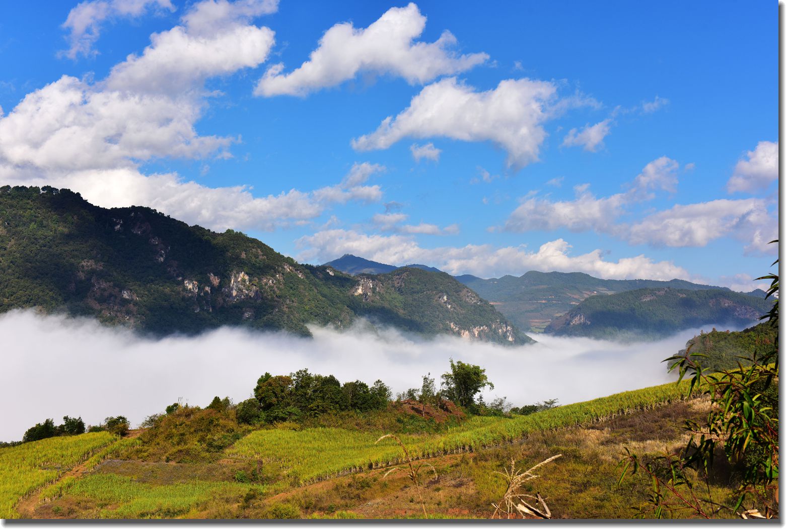 佤山云雾