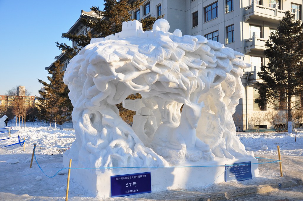 2016年第八届国际大学生雪雕大赛