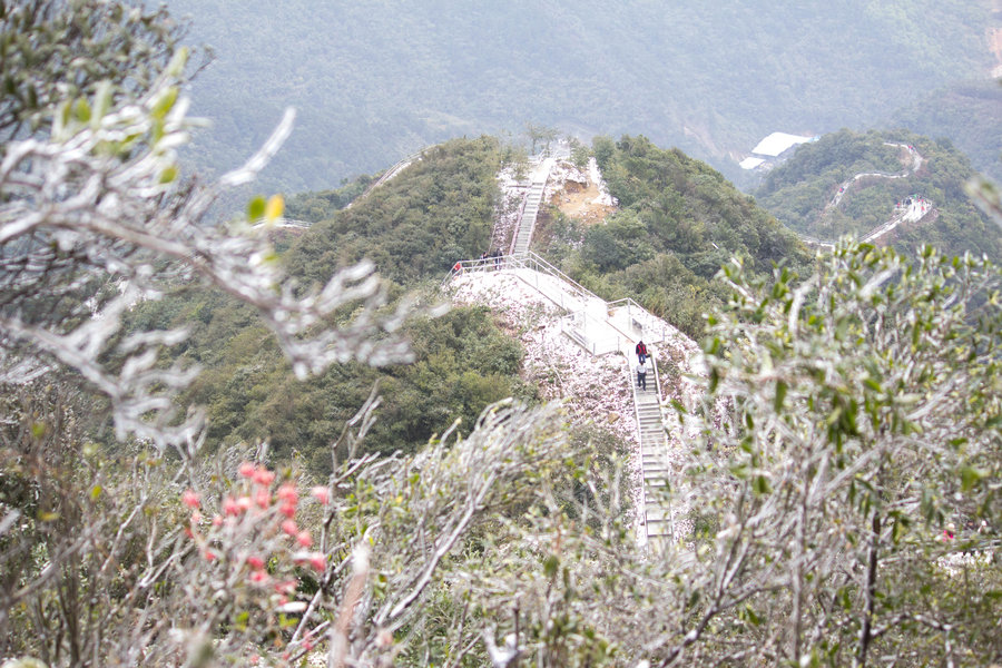 北岭山赏雪